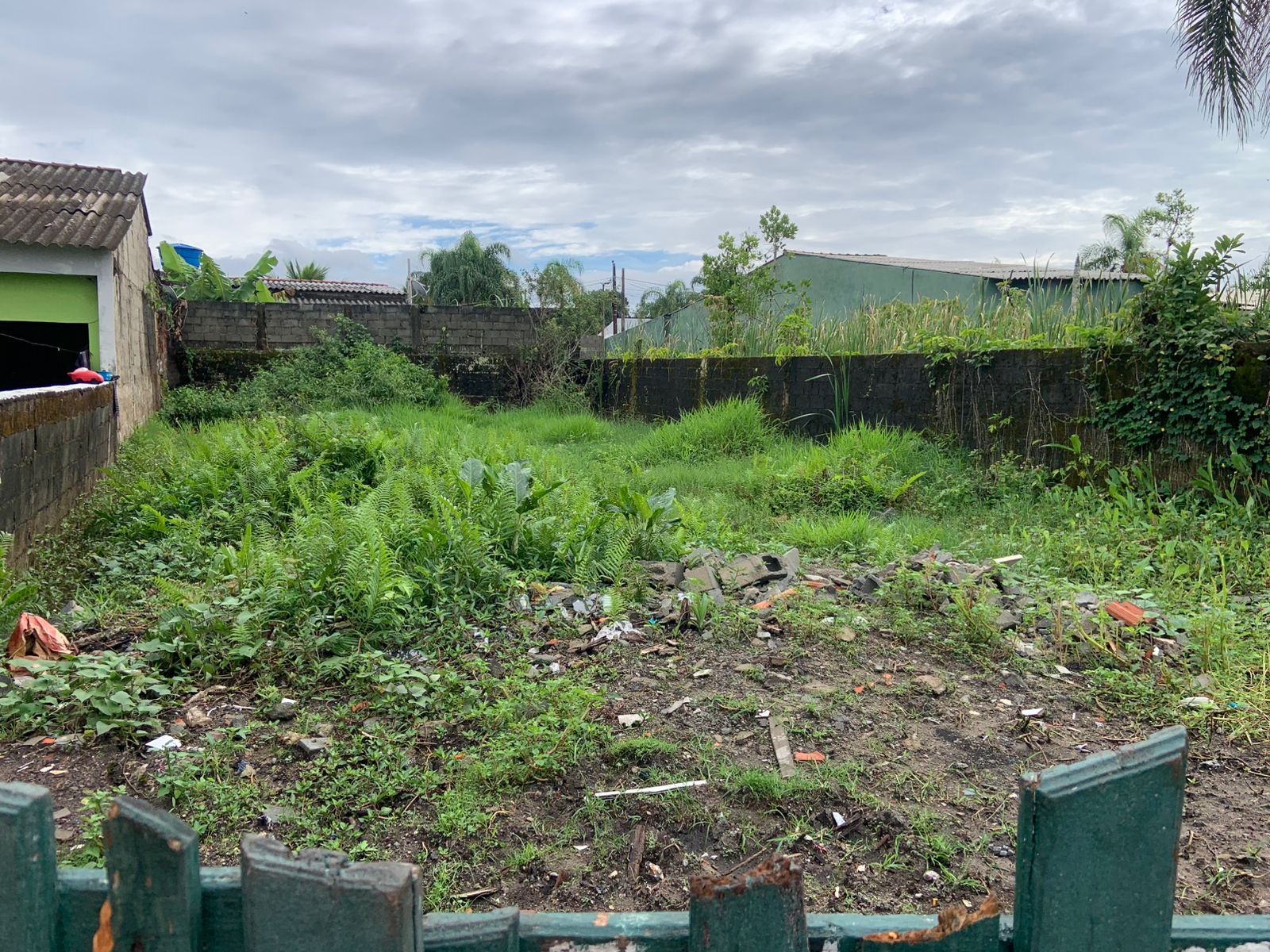 TERRENO COM LIBERAÇÃO AMBIENTAL NO JARDIM DAS PALMEIRAS - ITANHAÉM / SÃO PAULO - LADO PRAIA - 800 METROS DO MAR - foto 4