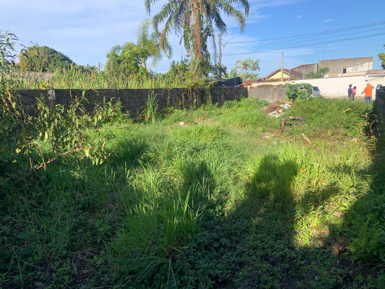 TERRENO COM LIBERAÇÃO AMBIENTAL NO JARDIM DAS PALMEIRAS - ITANHAÉM / SÃO PAULO - LADO PRAIA - 800 METROS DO MAR - foto 7