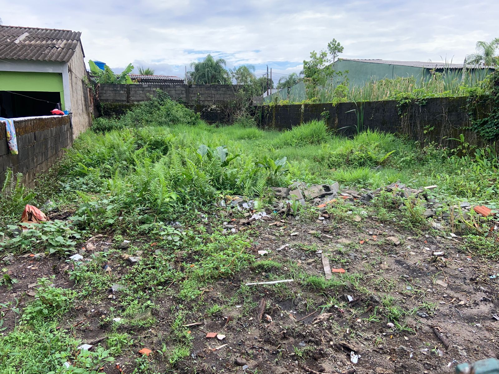 TERRENO COM LIBERAÇÃO AMBIENTAL NO JARDIM DAS PALMEIRAS - ITANHAÉM / SÃO PAULO - LADO PRAIA - 800 METROS DO MAR - foto 12