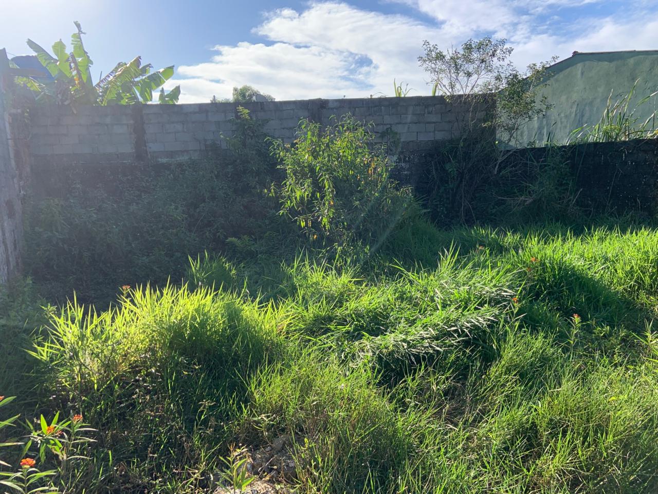 TERRENO COM LIBERAÇÃO AMBIENTAL NO JARDIM DAS PALMEIRAS - ITANHAÉM / SÃO PAULO - LADO PRAIA - 800 METROS DO MAR - foto 15