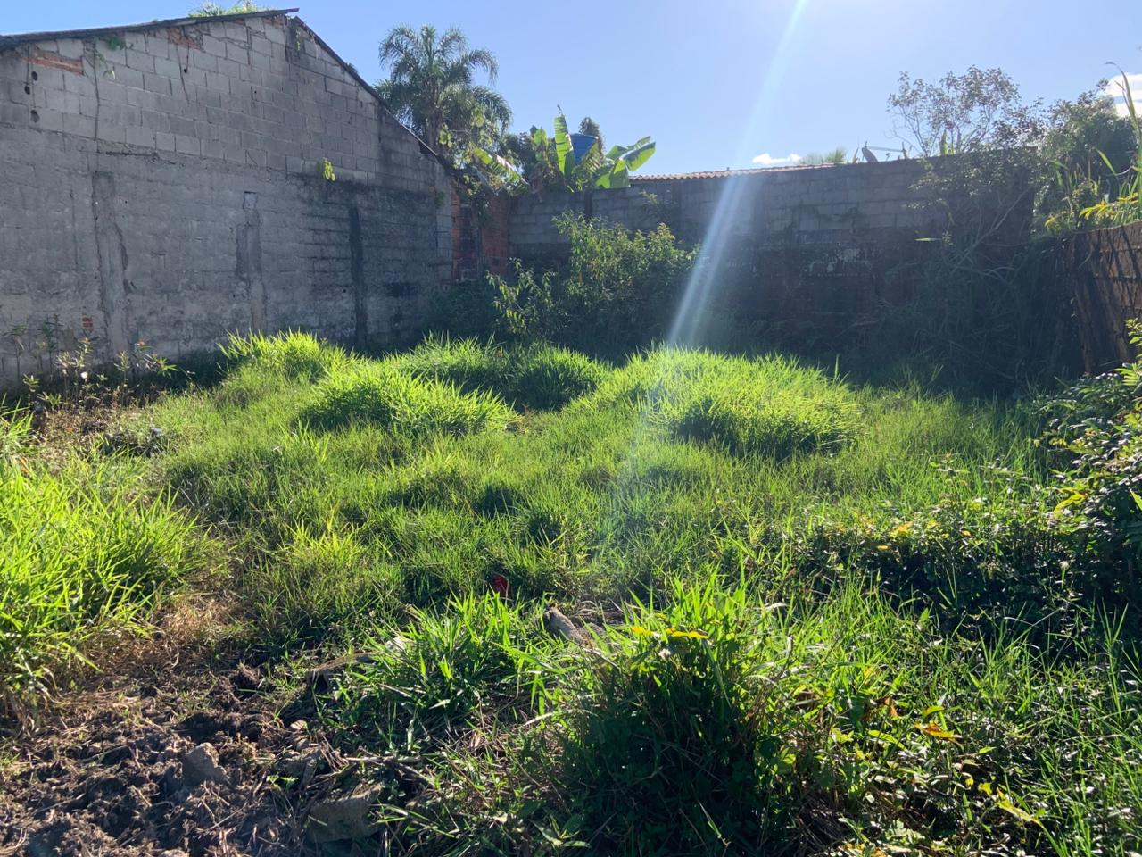 TERRENO COM LIBERAÇÃO AMBIENTAL NO JARDIM DAS PALMEIRAS - ITANHAÉM / SÃO PAULO - LADO PRAIA - 800 METROS DO MAR - foto 16