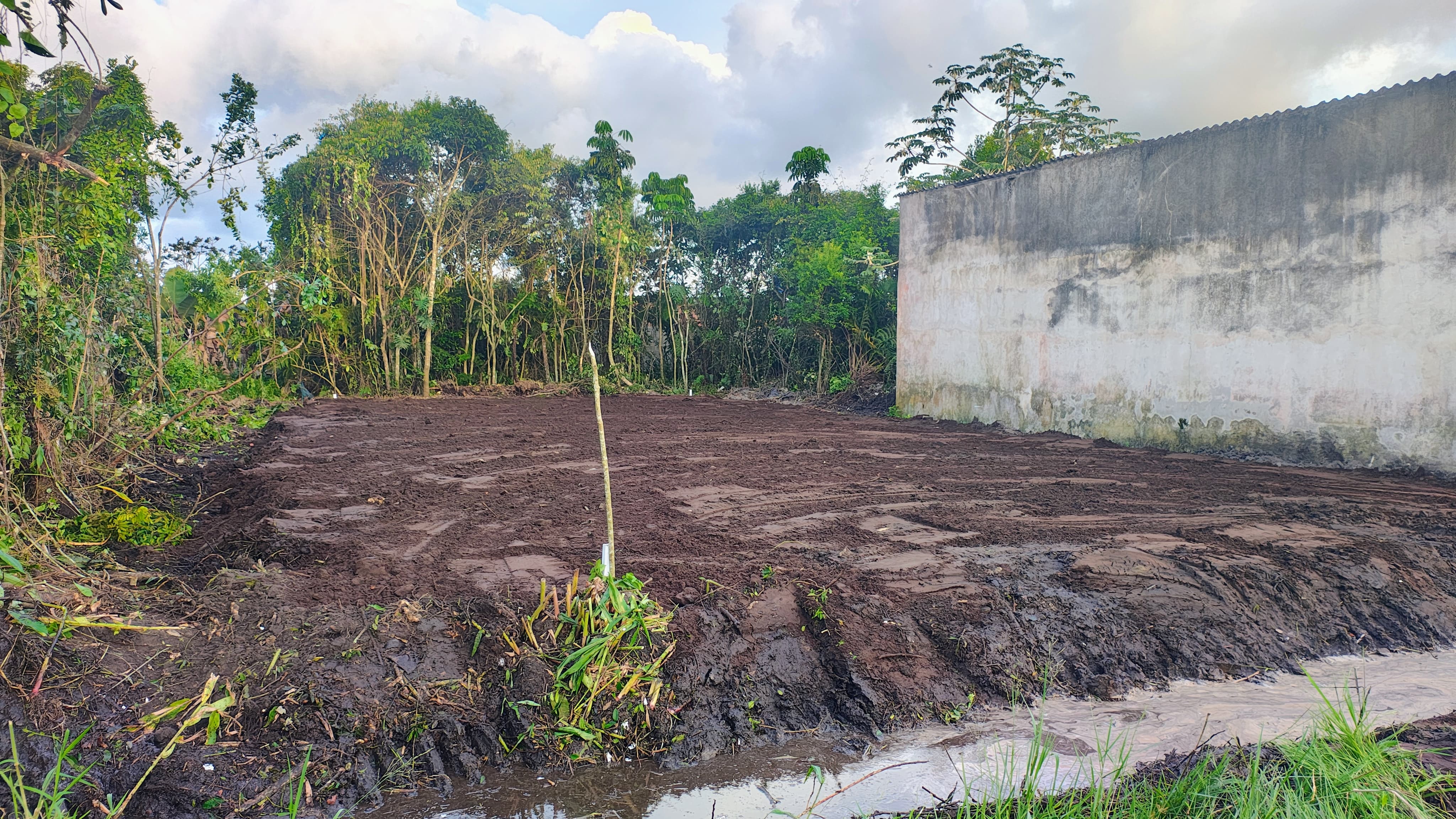 TERRENO COM LIBERAÇÃO AMBIENTAL NO BALNEÁRIO GAIVOTA - ITANHAÉM / SÃO PAULO - LADO MORRO - 800 METROS DA RODOVIA