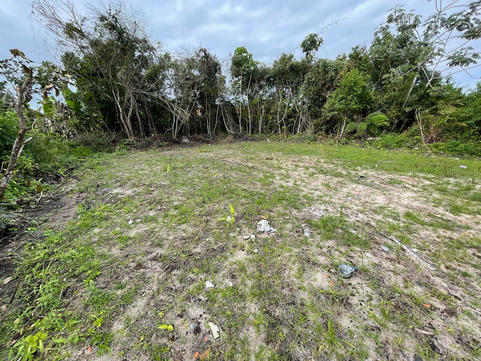 TERRENO COM LIBERAÇÃO AMBIENTAL NO BALNEÁRIO GAIVOTA - ITANHAÉM / SÃO PAULO - LADO MORRO - 800 METROS DA RODOVIA - foto 6