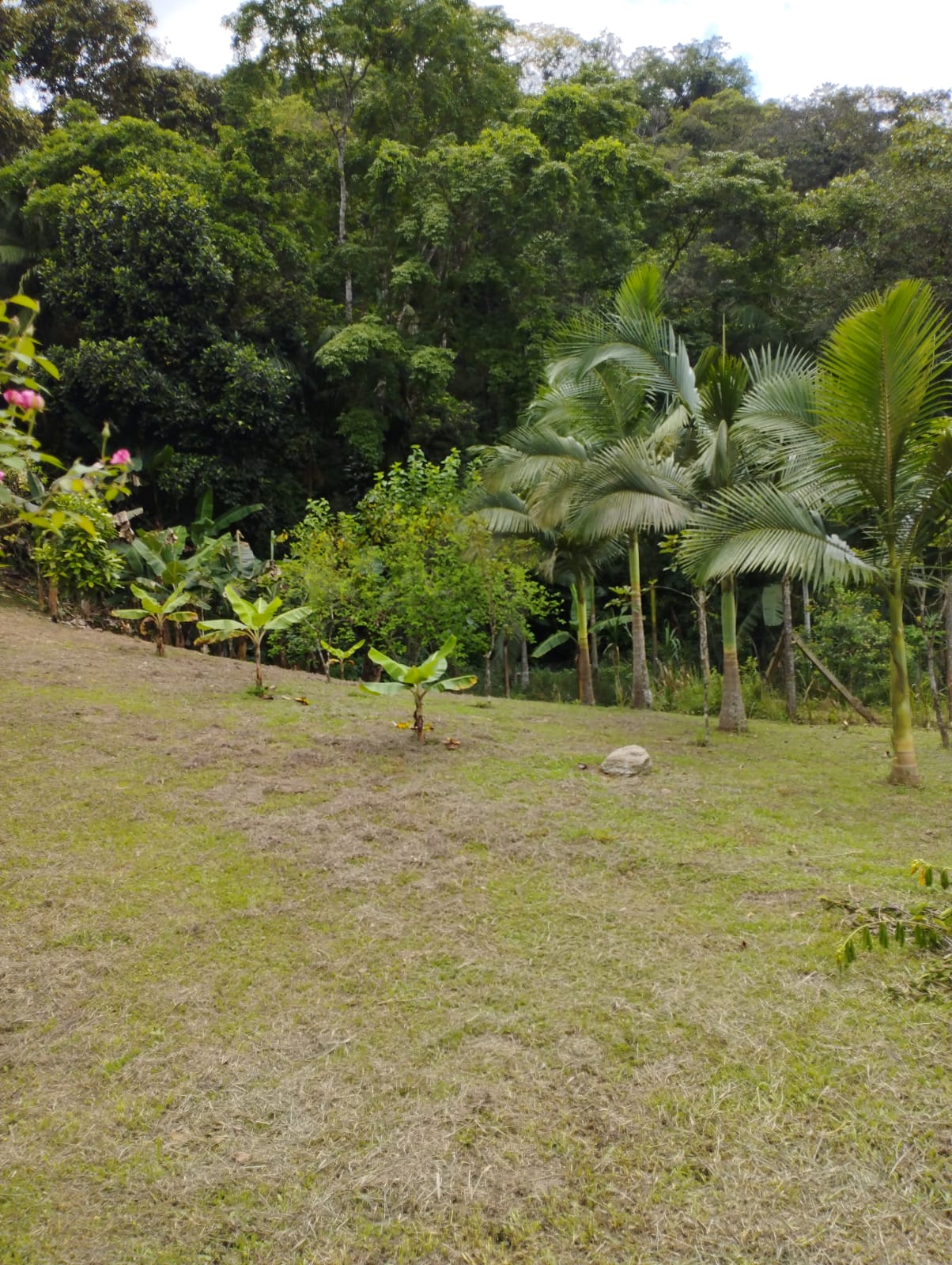 SITIO NO BAIRRO ITUPAVA- JUQUIÁ/SP - ÁREA RURAL - foto 20