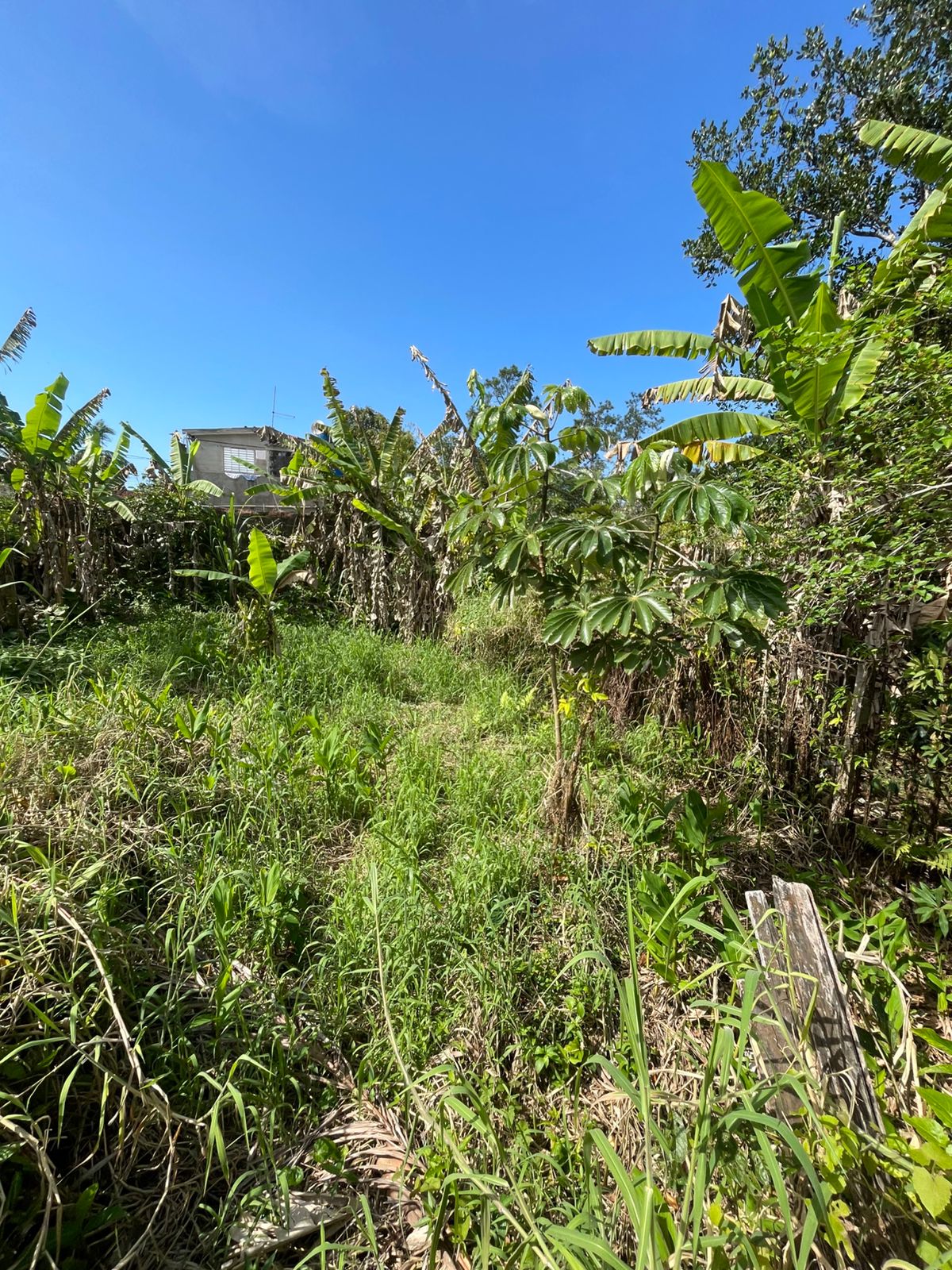 CASA NO BALNEÁRIO GAIVOTA / ITANHAÉM LADO MORRO - 700 METROS DA RODOVIA - foto 16