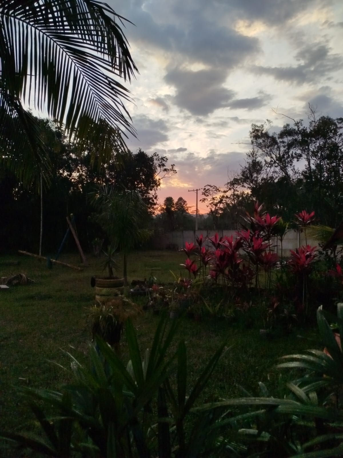 SÍTIO NA ESTRADA DO RIO PRETO  - ITANHAÉM - LADO MORRO - 9KM DA PISTA - foto 19