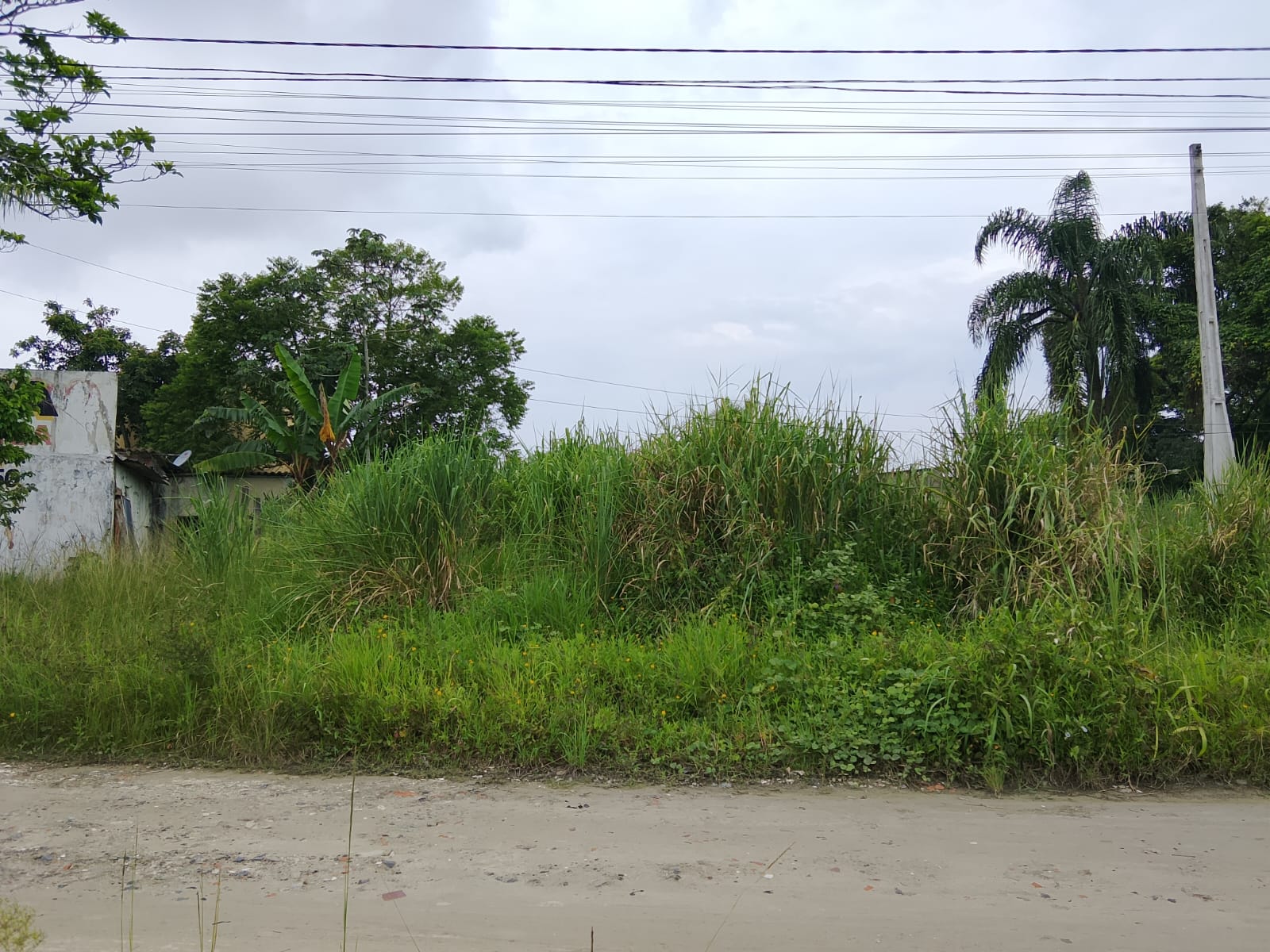 TERRENO NO JD DAS PALMEIRAS - ITANHAÉM - LADO PRAIA - 1.400 METROS DO MAR