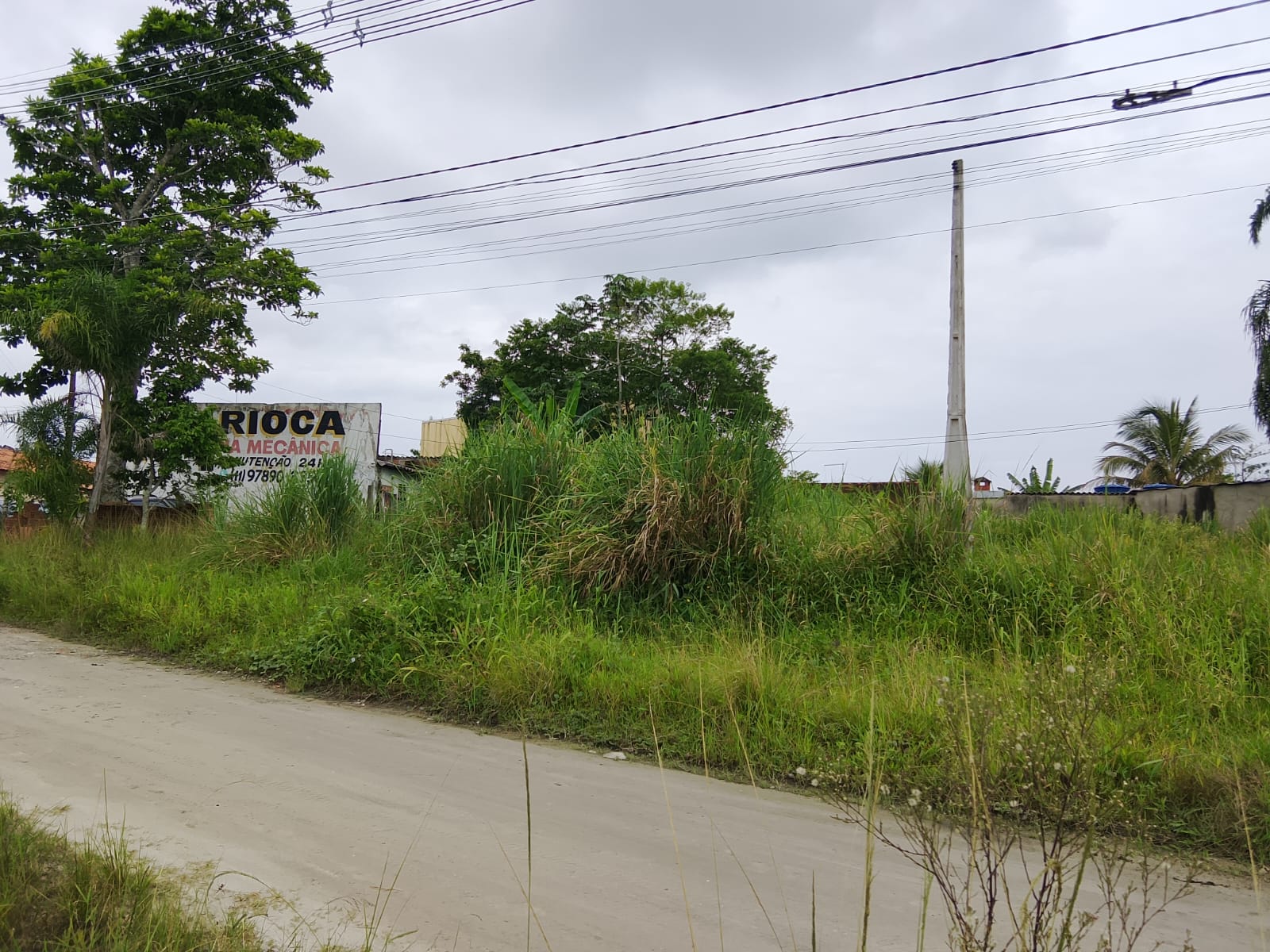 TERRENO NO JD DAS PALMEIRAS - ITANHAÉM - LADO PRAIA - 1.400 METROS DO MAR - foto 2