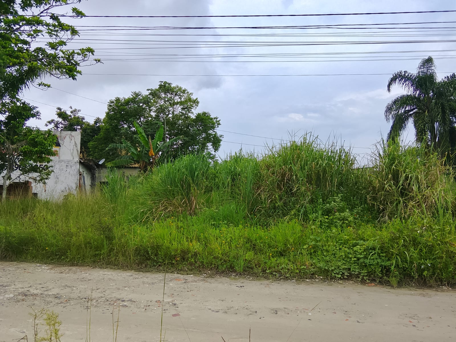 TERRENO NO JD DAS PALMEIRAS - ITANHAÉM - LADO PRAIA - 1.400 METROS DO MAR - foto 3