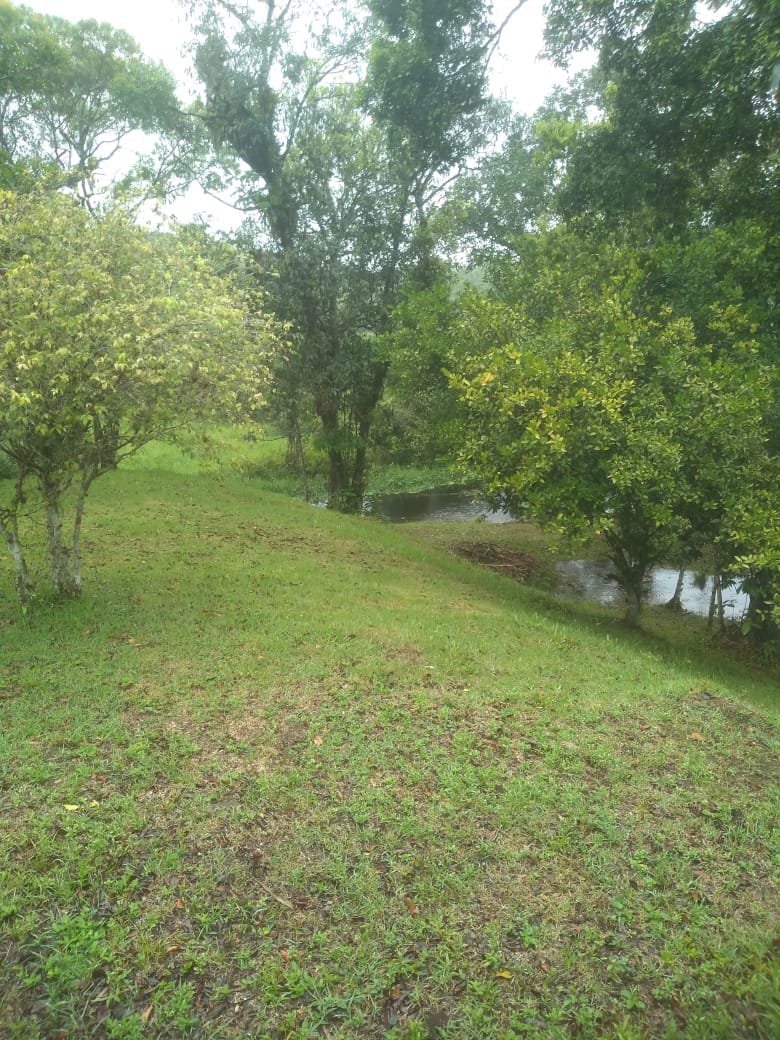 CHÁCARA NO JARDIM CORONEL - ITANHAÉM - LADO MORRO - 1KM DO ASFALTO - foto 8
