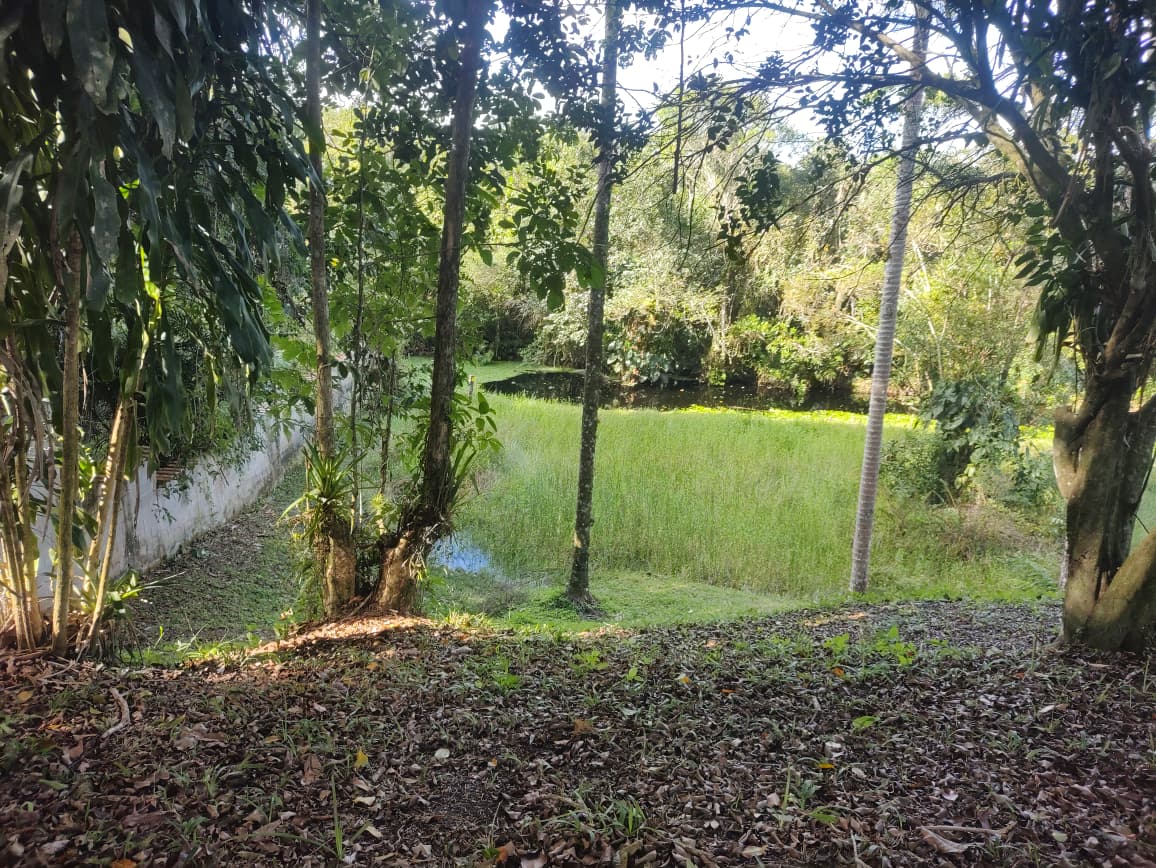 CHÁCARA NO JARDIM CORONEL - ITANHAÉM - LADO MORRO - 1KM DO ASFALTO - foto 30