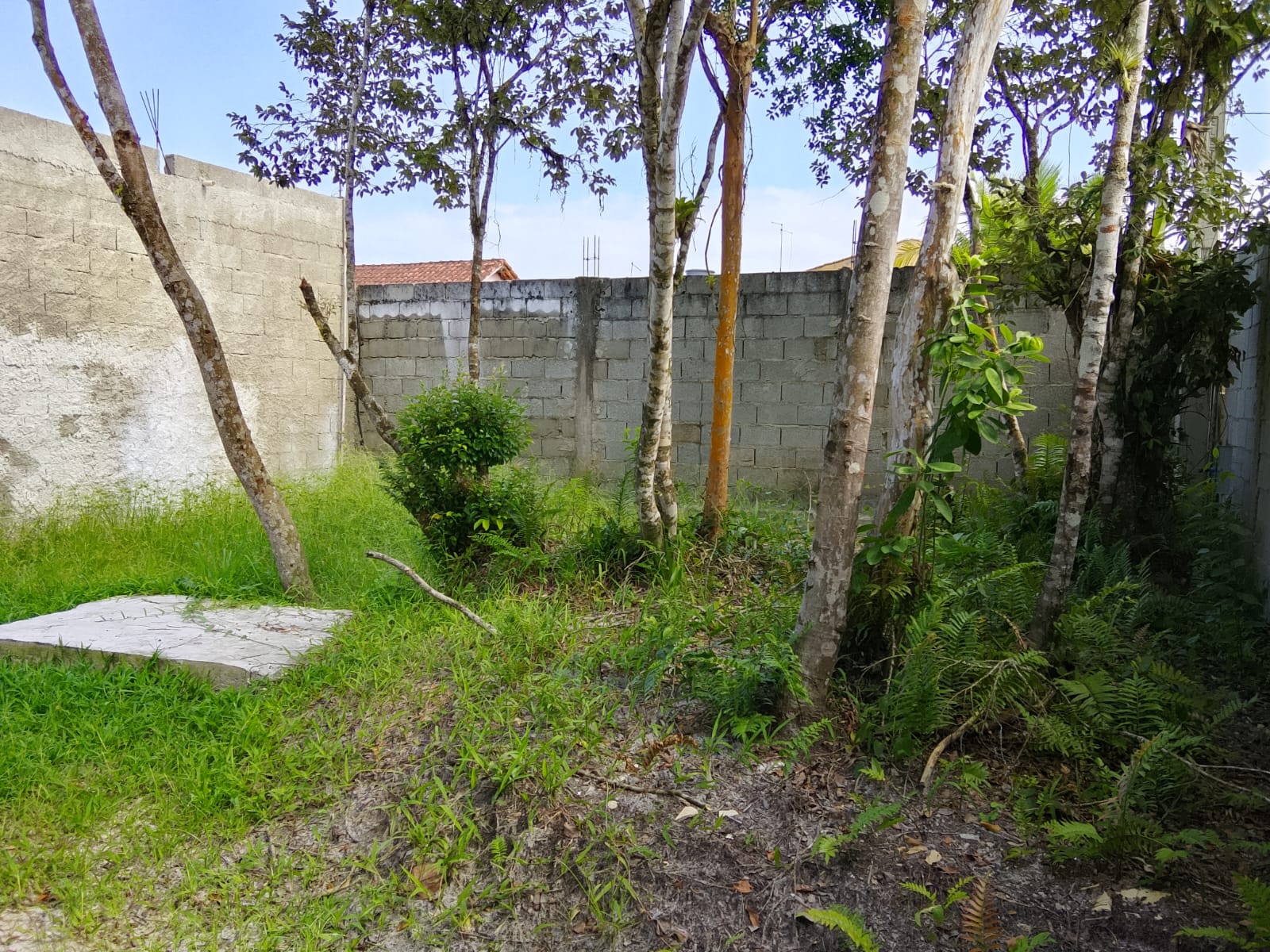 CASA SEMI ACABADA NA ESTÂNCIA SANTA CRUZ - PERUÍBE - LADO PRAIA - 1.000 METROS DO MAR - foto 10