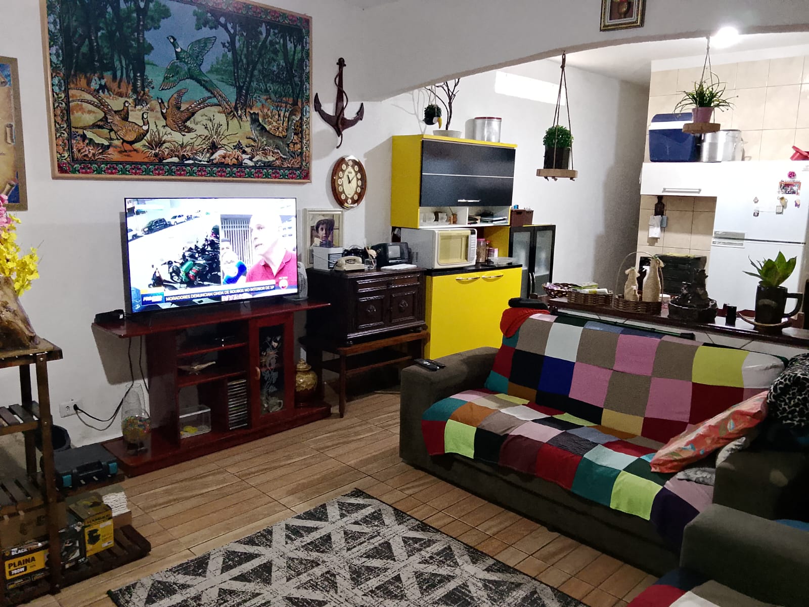 CHÁCARA NO BALNEÁRIO GAIVOTA - ITANHAÉM - SP - LADO MORRO - 400 METROS DA RODOVIA - foto 11