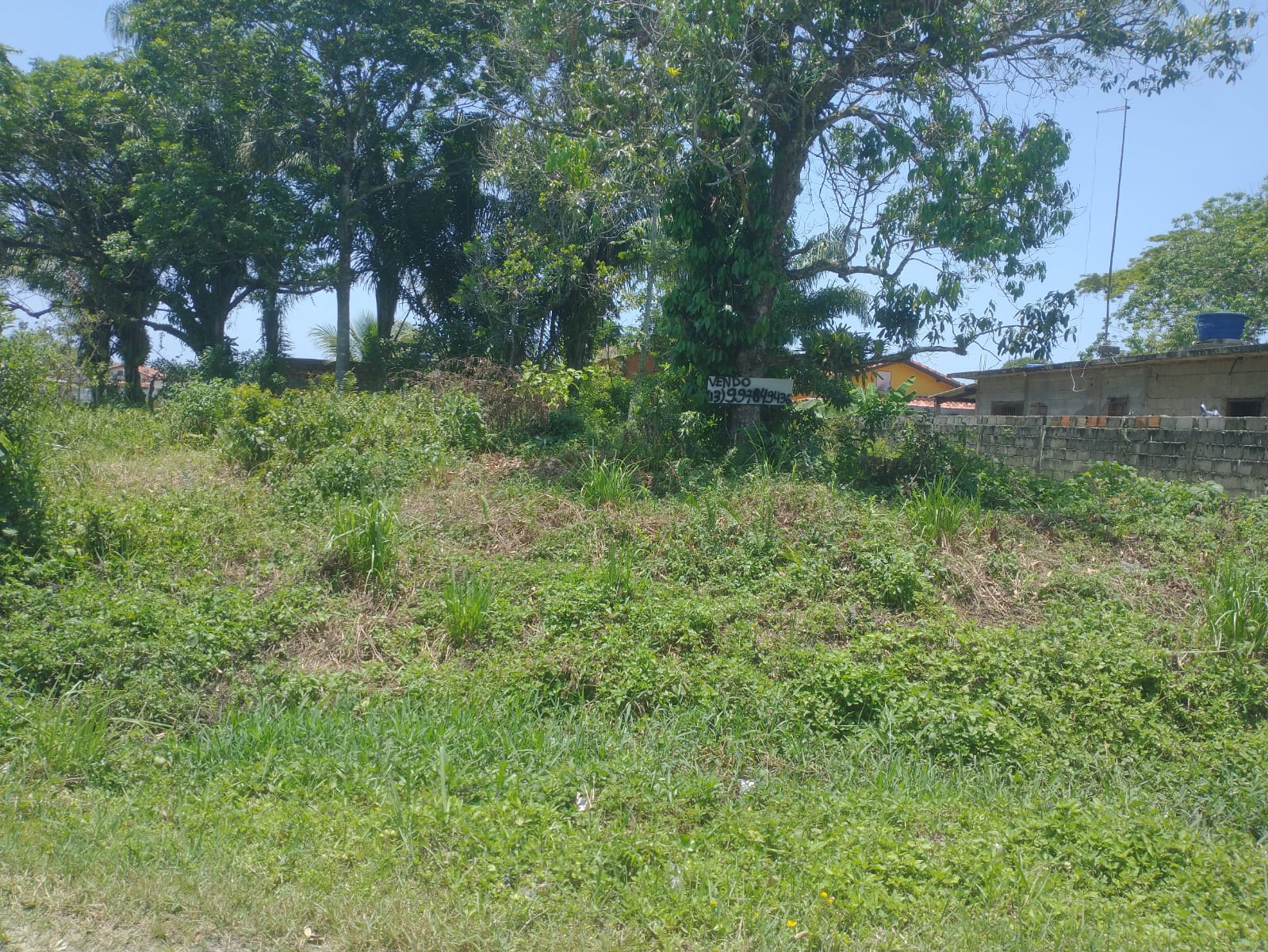 TERRENO NO JD DAS PALMEIRAS - ITANHAÉM/SP - LADO PRAIA - foto 3
