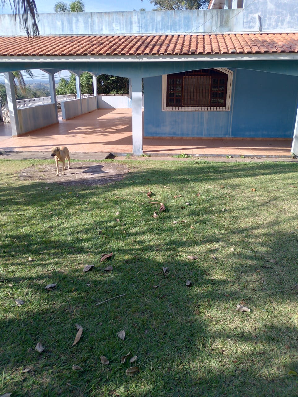 SÍTIO NO CERCADINHO - LAMBARI/SP - foto 11