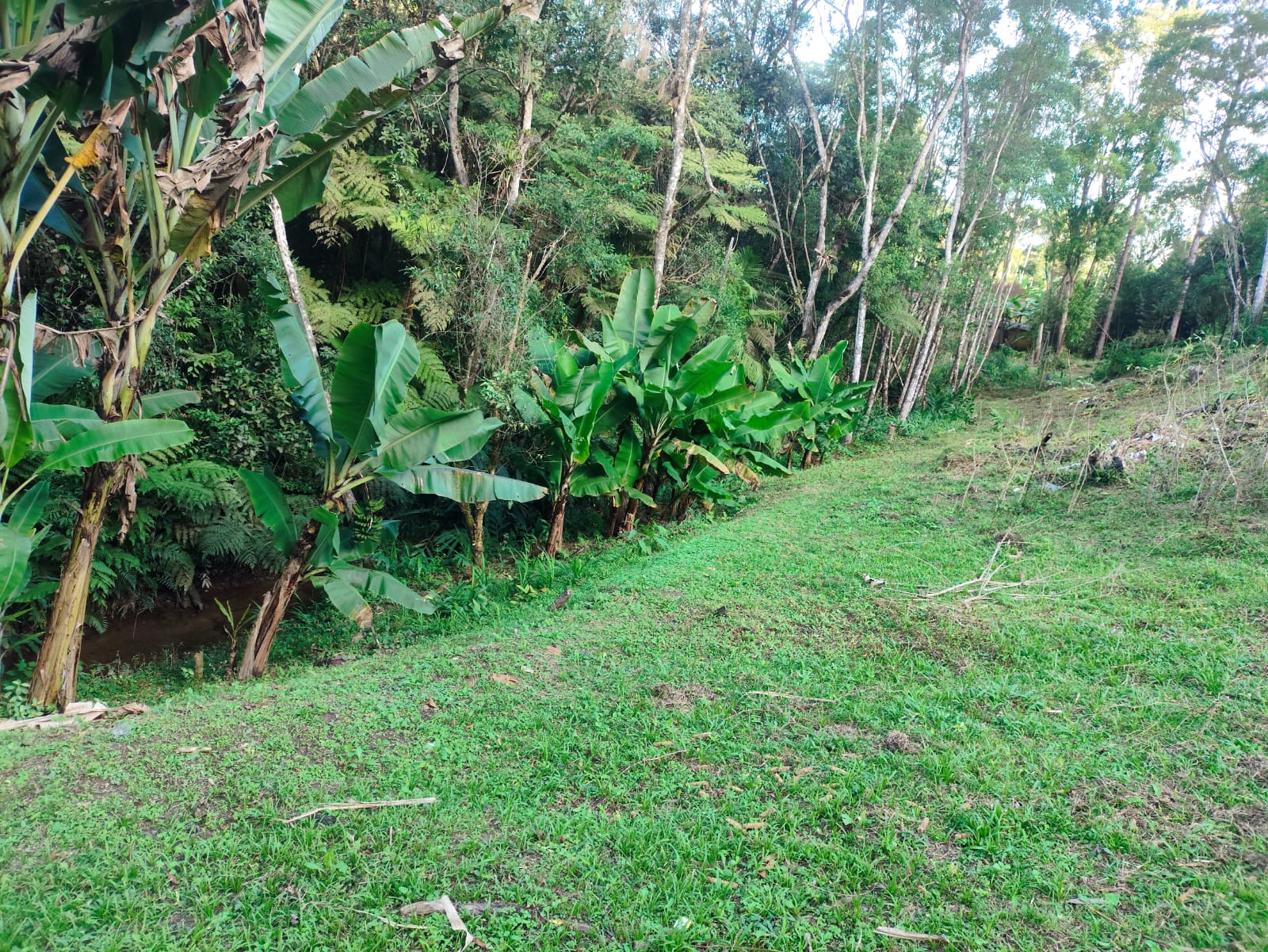 CHÁCARA NA BARRINHA - SÃO LOURENÇO DA SERRA/SP - foto 20