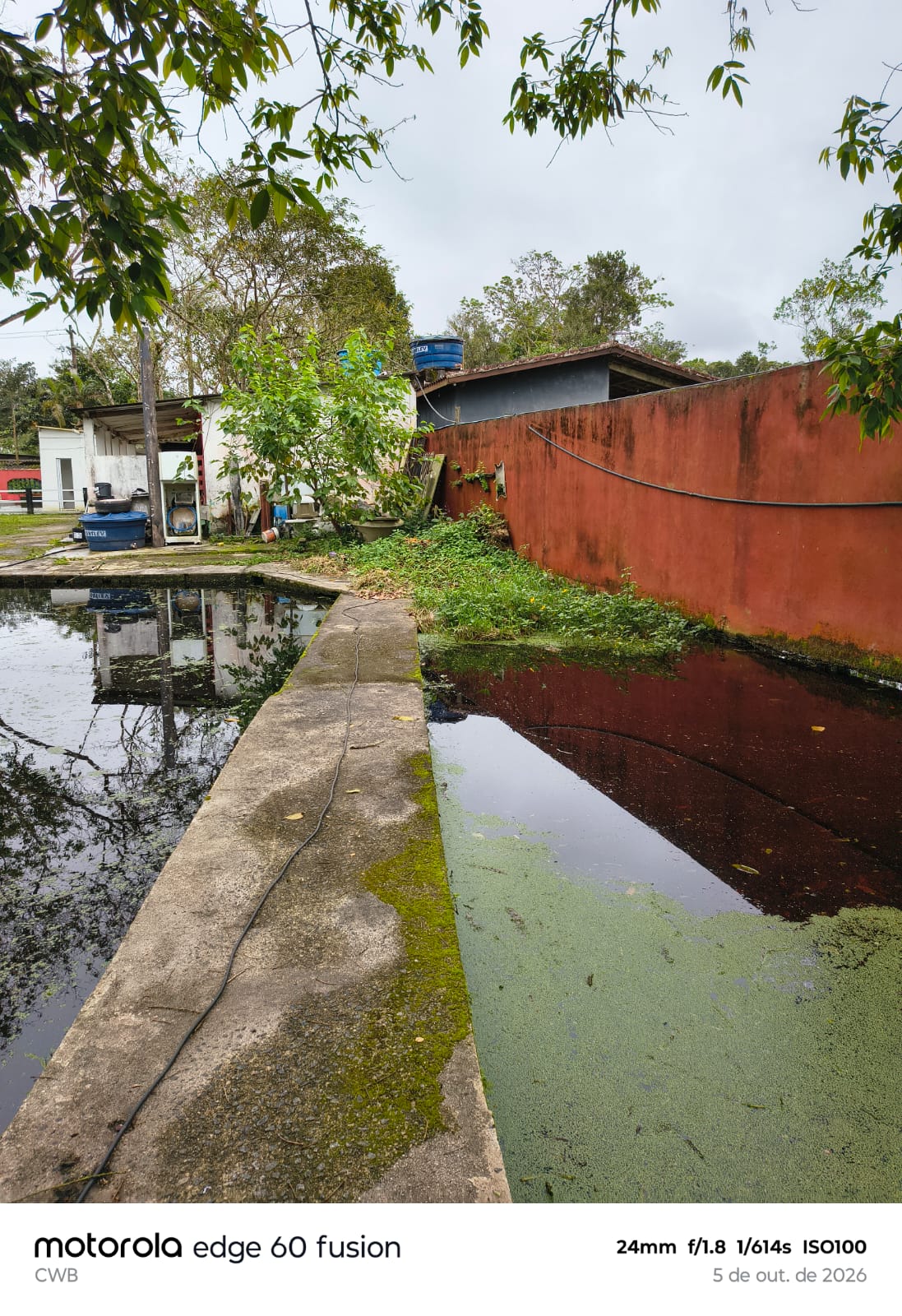 CHÁCARA LADO MORRO NO BAIRRO SÍTIO VELHO - ITANHAÉM/SP - foto 9