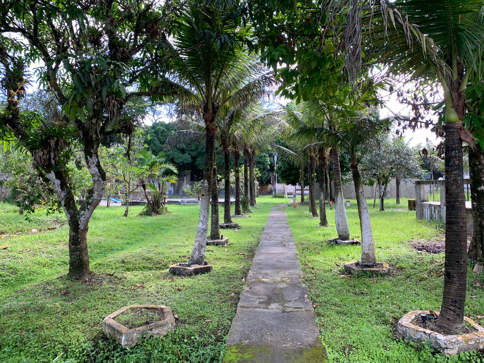 CHÁCARA NO BAIRRO SAN MARCUS - ITANHAÉM/SP - LADO SERRA - foto 7