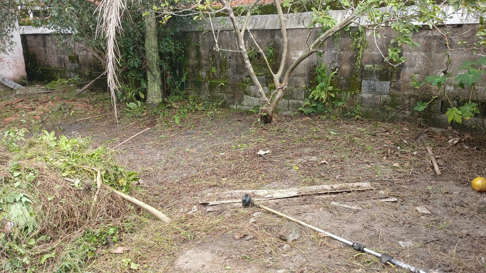 TERRENO NO BAIRRO SÃO JORGE - ITANHAÉM/SP - LADO PRAIA - foto 6